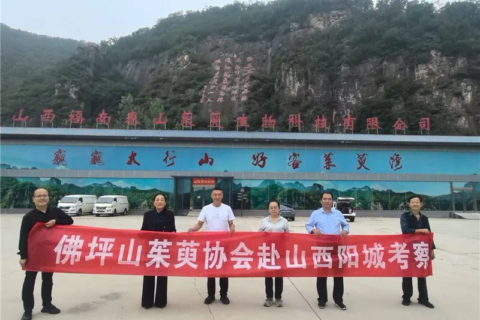 李茂武 | 更把茱萸仔細看——佛坪縣山茱萸協(xié)會赴山西陽城交流記